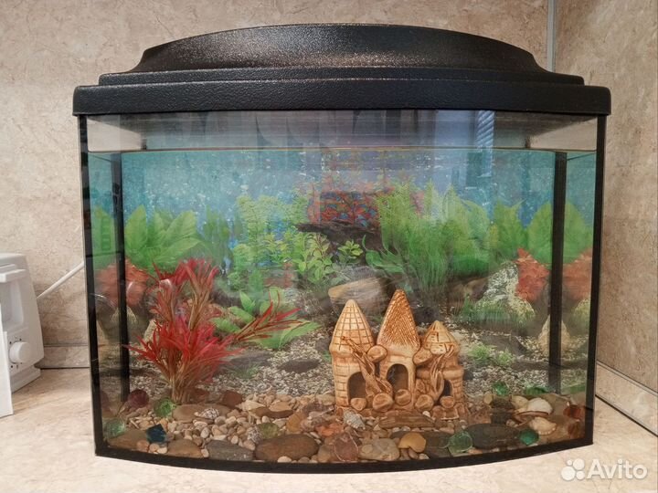 Аквариум