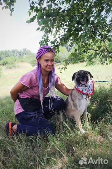 Мира - Небольшая молодая собака из приюта