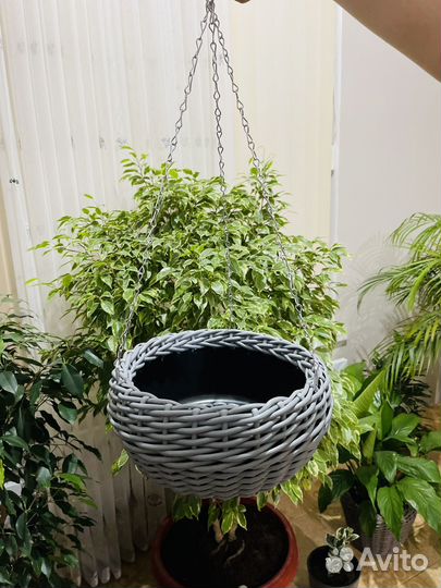 Кашпо для цветов