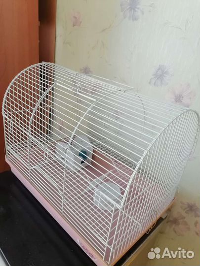 Клетки и стеллаж для животных