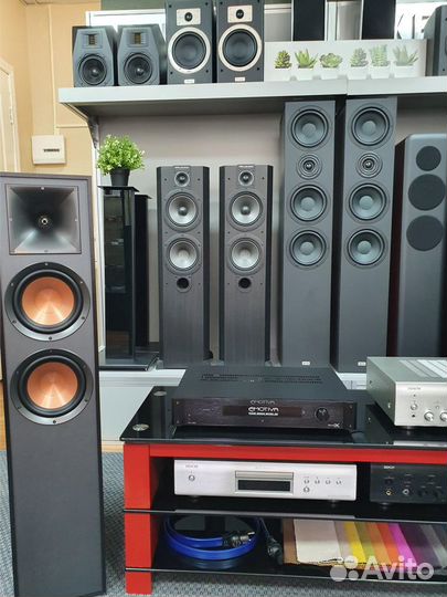 Сабвуфер Wharfedale WH-D10 Blackwood