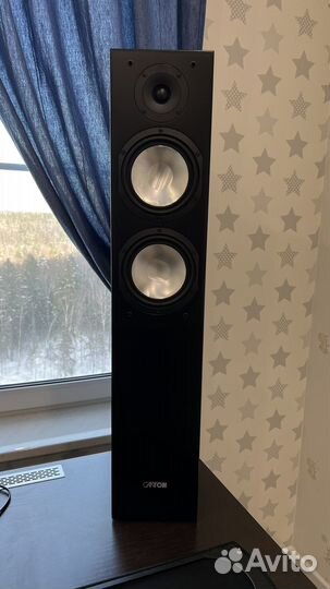 Напольные колонки canton