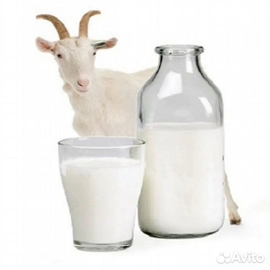 Продам козье молоко