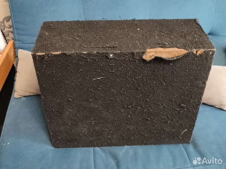 Активный сабвуфер Pioneer TS-WX300A