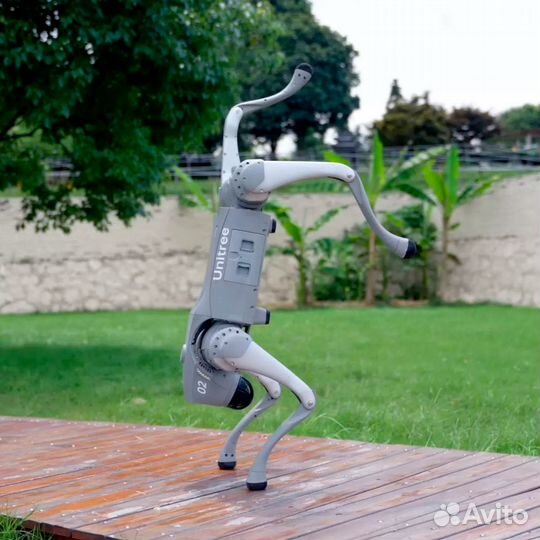 Unitree Go2 Pro робот-пёс