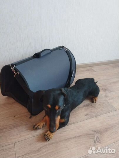 Переноска для собак
