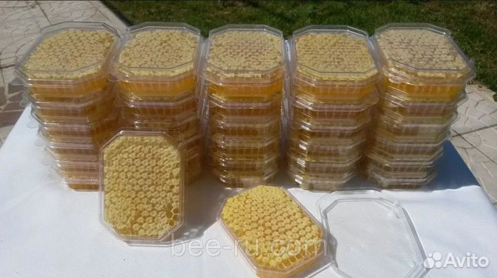 Рамки для сотового меда Панский сот-230 Рут (компл