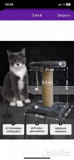 Когтеточка для котят