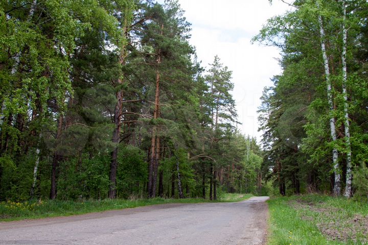 Участок 10 сот. (ИЖС)