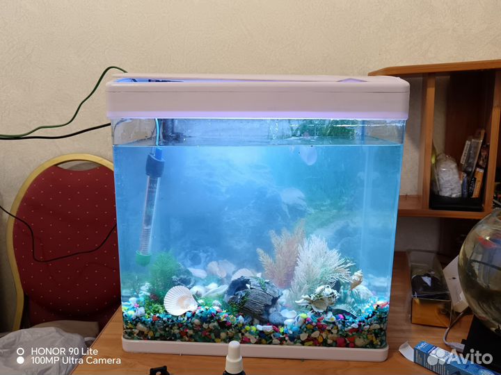 Аквариум на 50 литров