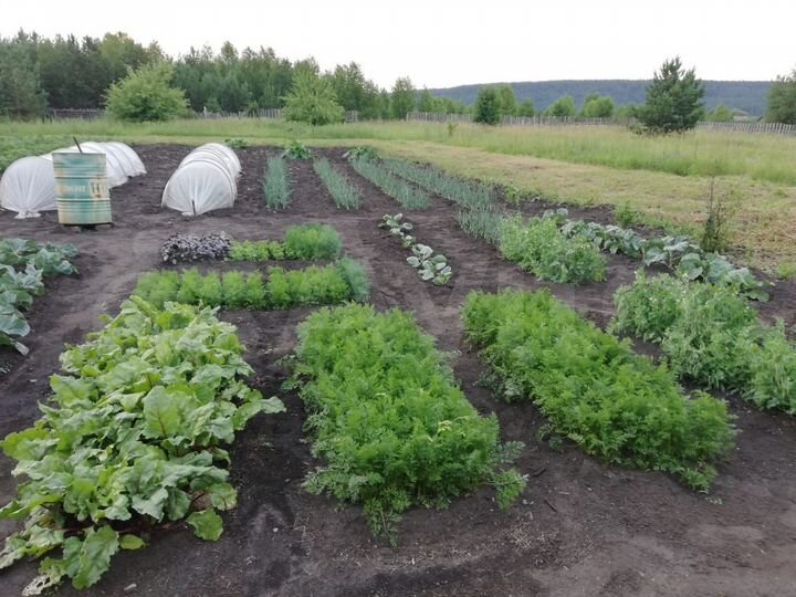 Дом 53,6 м² на участке 15 сот.