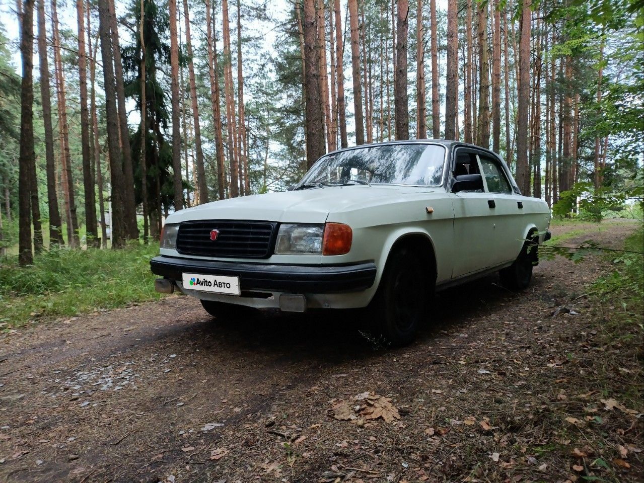ГАЗ 31029 Волга