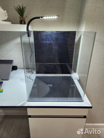 Аквариумные рыбки и оборудование