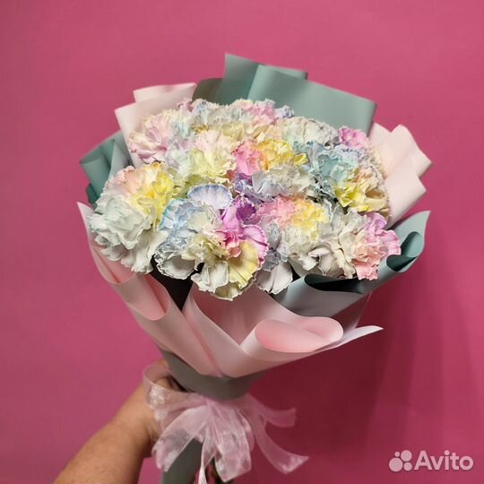 Диантусы радужные 11 шт