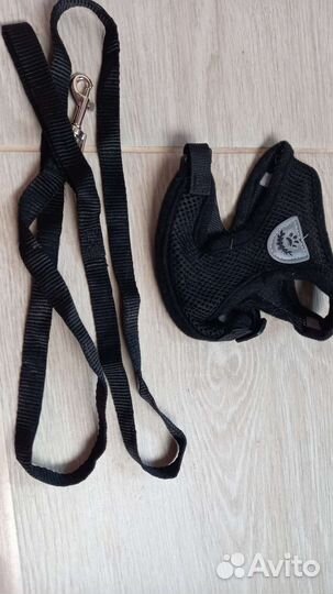 Шлейка и поводок