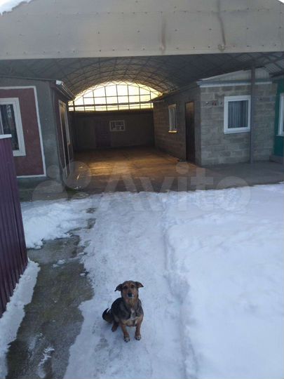 Дом 128 м² на участке 20 сот.