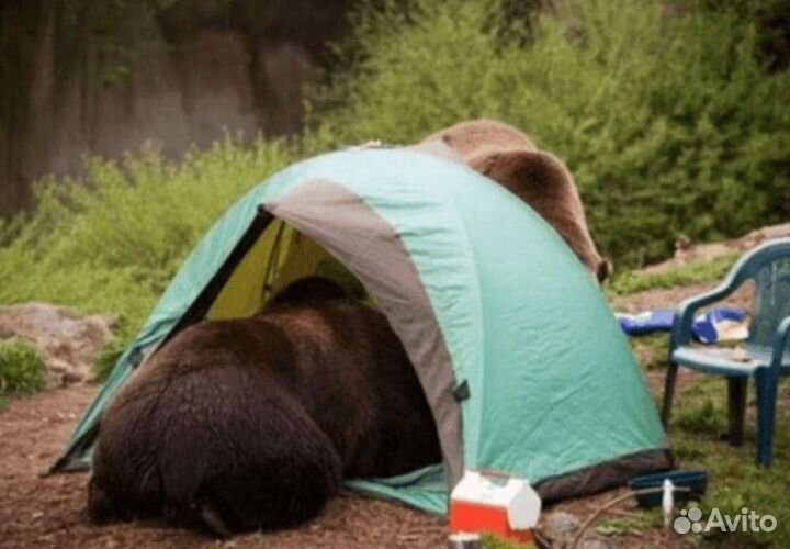 Палатка normal