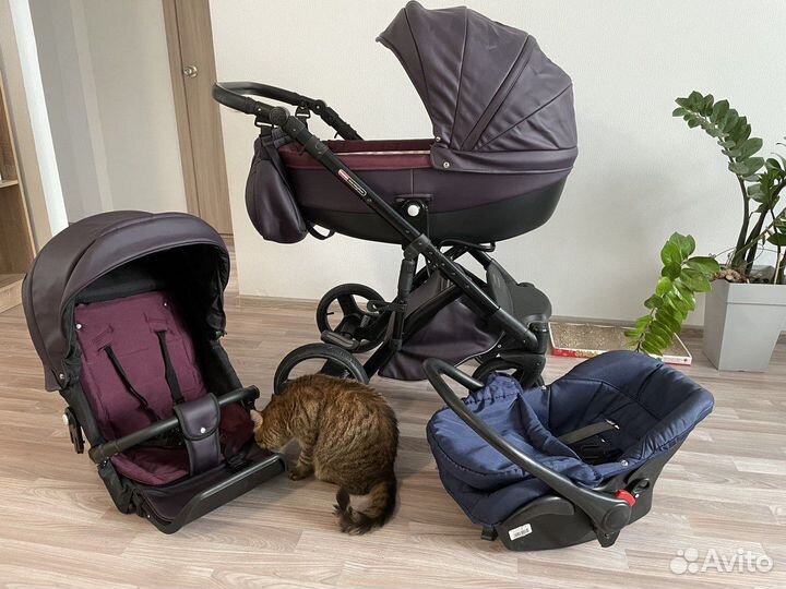 Детская Коляска Lonex 2 в 1 Comfort Gallaxy