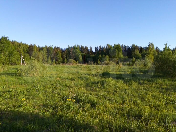 Участок 10 сот. (ИЖС)