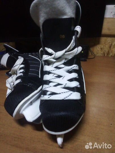 Коньки хоккейные RGX-300 alpha caprice, 36 размер