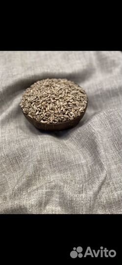 Ядро подсолнечника