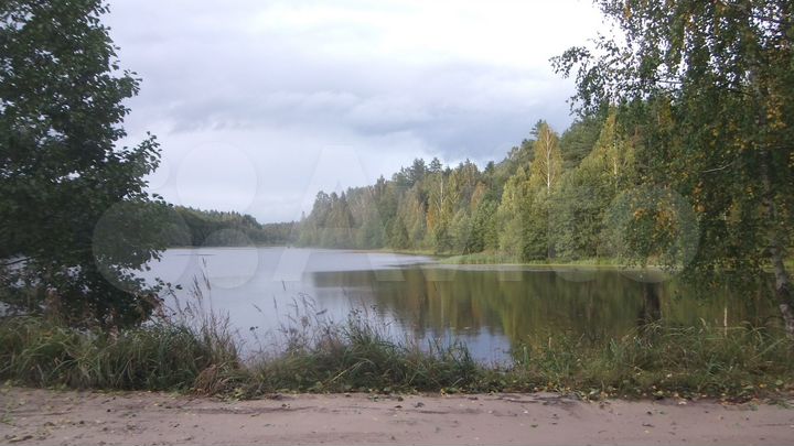 Участок 55 сот. (ИЖС)