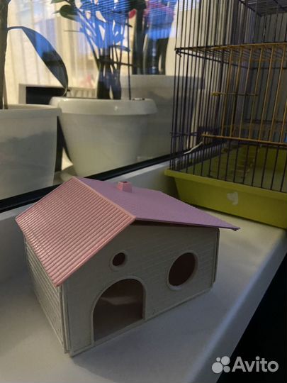 Клетка для грызунов + принадлежности
