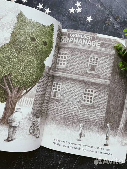 Новая книга на английском The Night Gardener