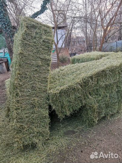 Продаеться сено, солома
