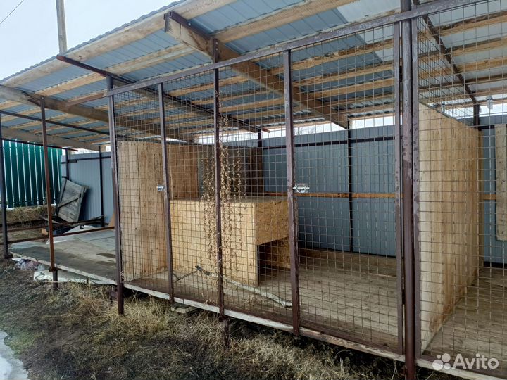 Вольер для собак