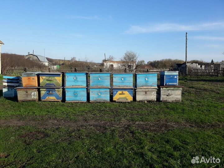 Ульи б\у