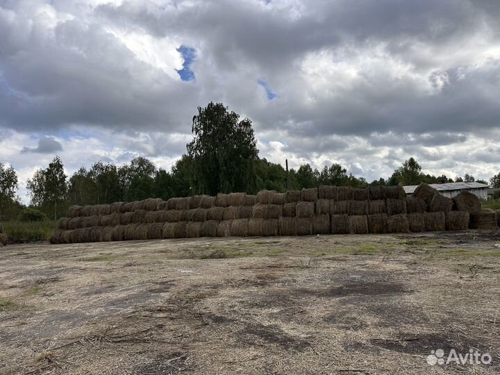 Сено в тюках разнотравие