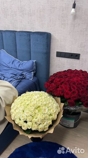 Розы оптом с доставкой