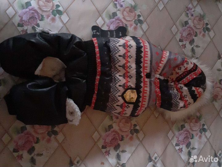 Одежда и аксессуары для собак