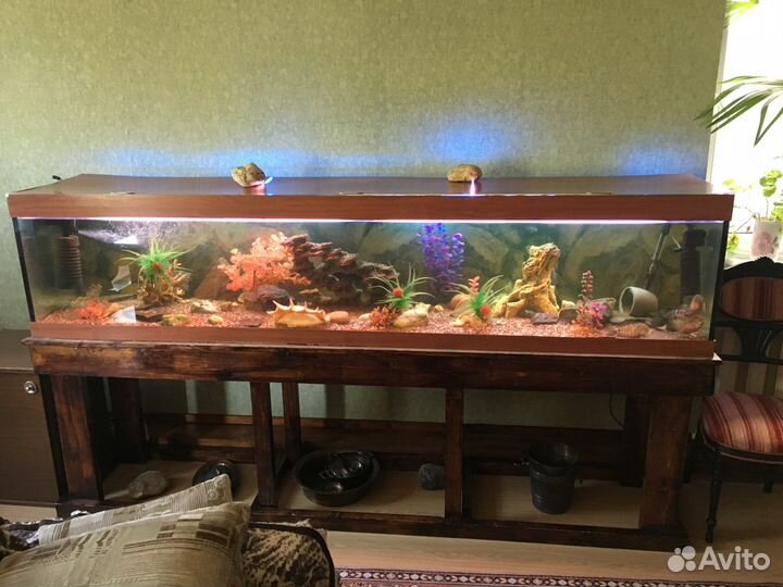 Аквариум босу в кабинет 520л равных нет