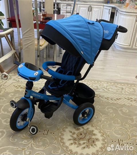 Детский трехколесный велосипед Bamzione B2