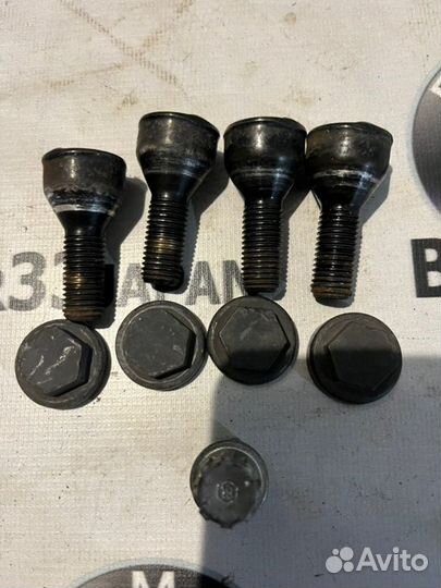 Болт секретный Code 19 Bmw E46 седан М54В30 2004