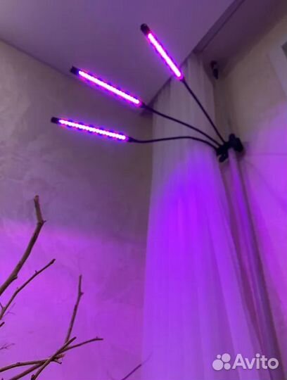 Фитолампа для растений