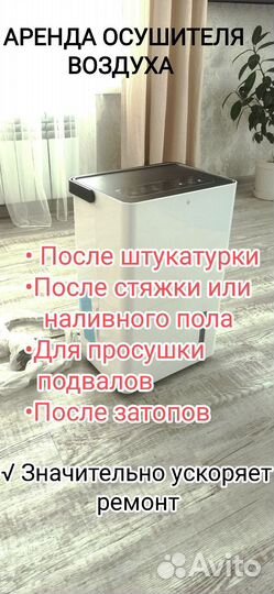 Аренда осушитель воздуха
