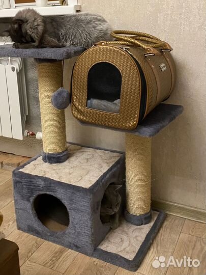 Домик для кошки
