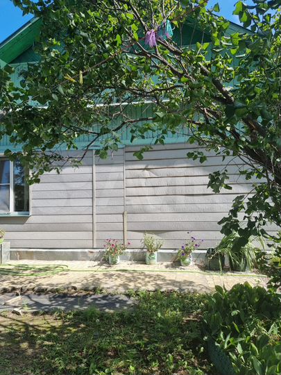 Дом 53,3 м² на участке 13,6 сот.