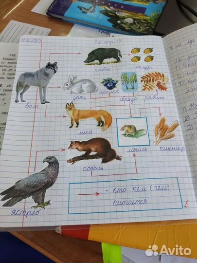 Репетитор начальных классов, подготовка к школе