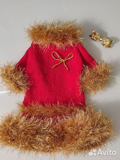 Одежда для собак