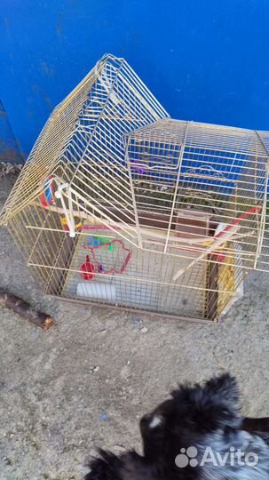 Клетка для птички