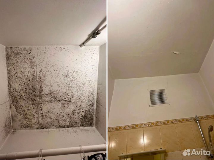 Уничтожение тараканов дезинфекция