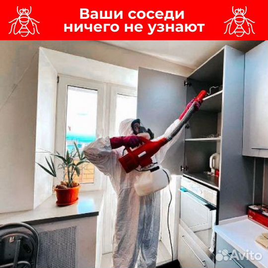 Дезинфекция