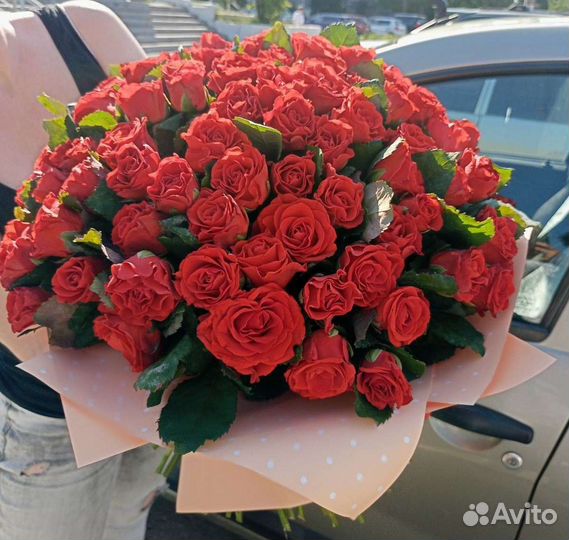 101 роза. 51, 25, любое количество