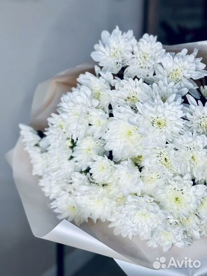 Букет белых/желтых кустовых хризантем