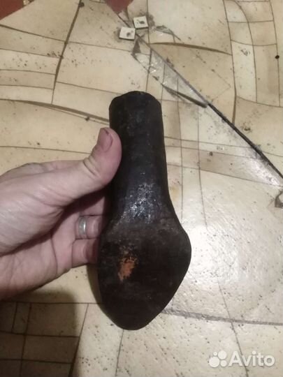 Лапа сапожная