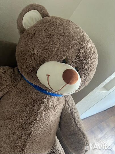 Медведь большой новый